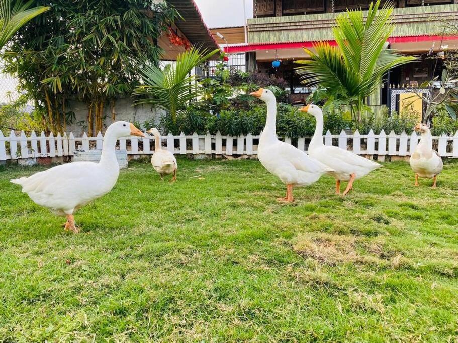 Saifarms Private Farmhouse Between Pune & Lonavala Nethersole Dam Exterior foto